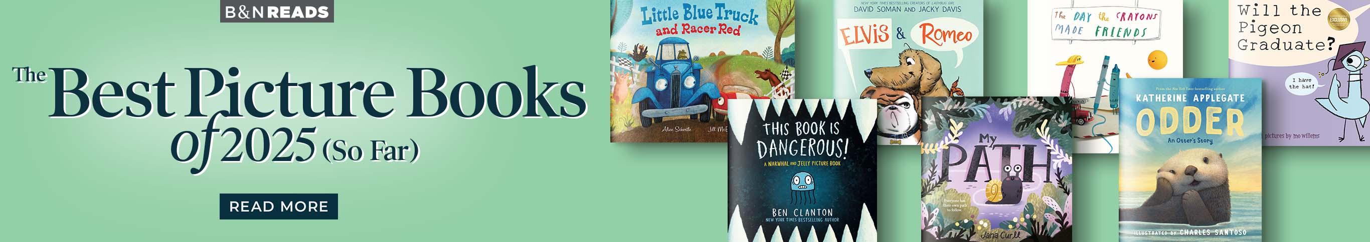 B&N Reads: The Best Picture Books of 2025 (So Far) - Read More